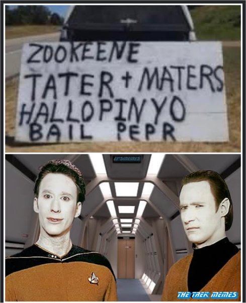 zook majorgeeks.jpg